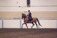 Class 2 - HA/AA Country English Pleasure Open
