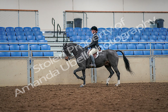 2019 Morgan Horse Show - Aug 30, 2019 - 23286