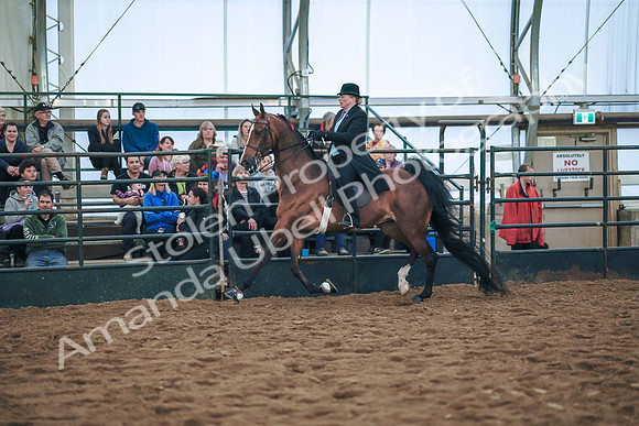 July 20, 2019 - 24163