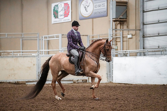Spring Fling - Saturday - April 20, 2019  -  04665