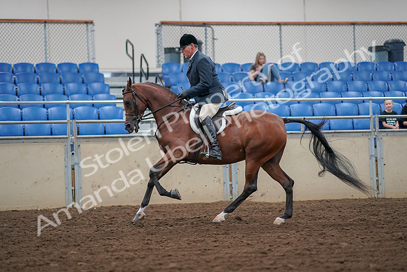 2019 Morgan Horse Show - Aug 30, 2019 - 16361