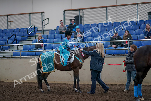 2019 Morgan Horse Show - Aug 31, 2019 - 10199