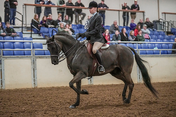 Spring Fling - Saturday - April 20, 2019  -  04599