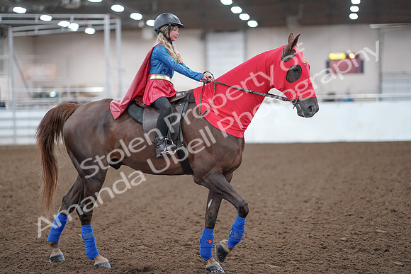2019 Morgan Horse Show - Aug 31, 2019 - 10007