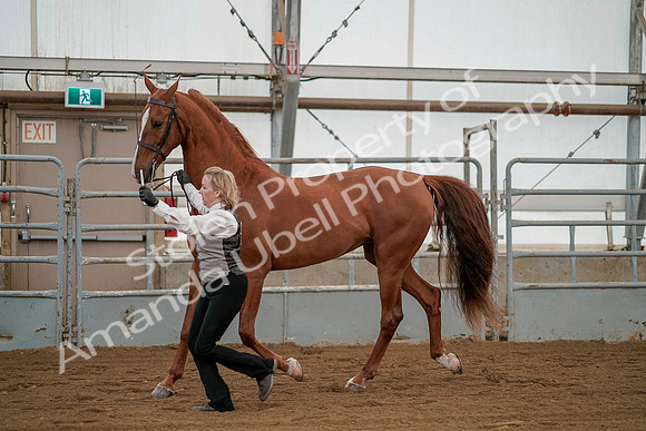 July 19, 2019 - 1359