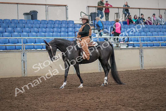 2019 Morgan Horse Show - Aug 31, 2019 - 06128