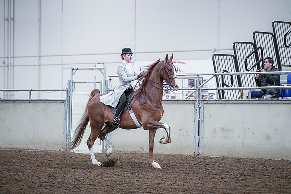 Spring Fling - Saturday - April 20, 2019  -  00575