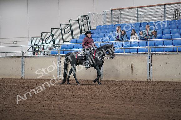 2019 Morgan Horse Show - Aug 31, 2019 - 10662