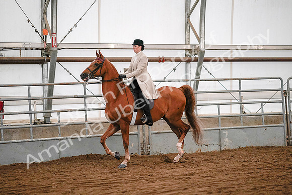 July 19, 2019 - 9019