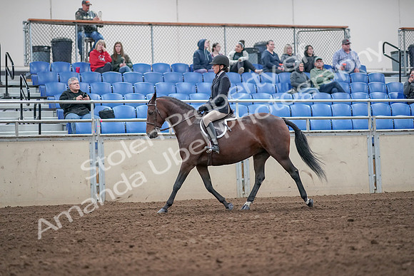 2019 Morgan Horse Show - Aug 31, 2019 - 19422
