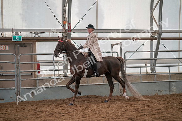 July 19, 2019 - 12838