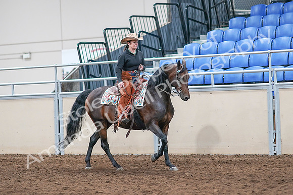2020 - AB Morgan Horse - Sun, Sept 06 - 01646