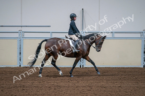 2020 - AB Morgan Horse - Fri, Sept 04 - 01811