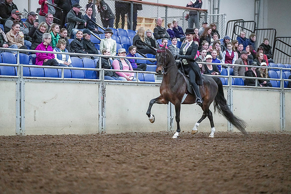 Spring Fling - Saturday - April 20, 2019  -  00475