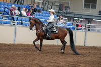 2020 - AB Morgan Horse - Sun, Sept 06 - 07458