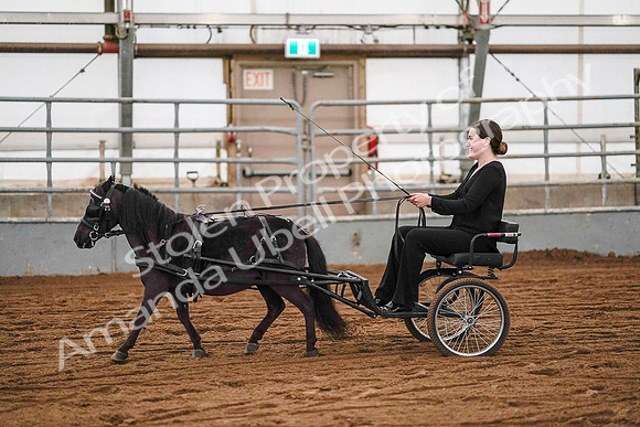July 19, 2019 - 7030