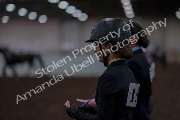 2019 Morgan Horse Show - Aug 31, 2019 - 03945