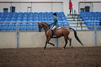 2019 Morgan Horse Show - Aug 31, 2019 - 17134