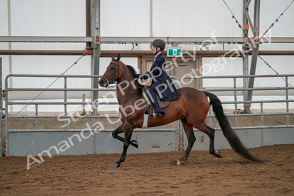 July 20, 2019 - 03764