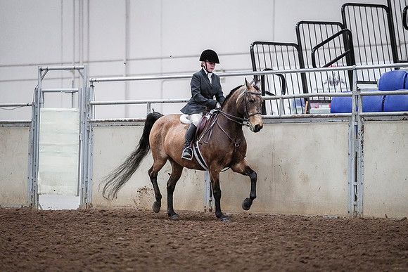 Spring Fling - Saturday - April 20, 2019  -  03789