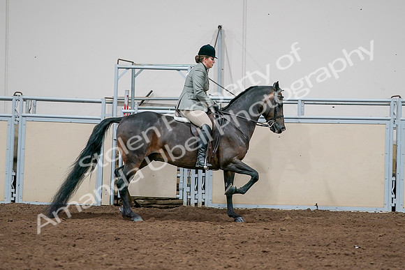 2020 - AB Morgan Horse - Sat, Sept 05 - 14511