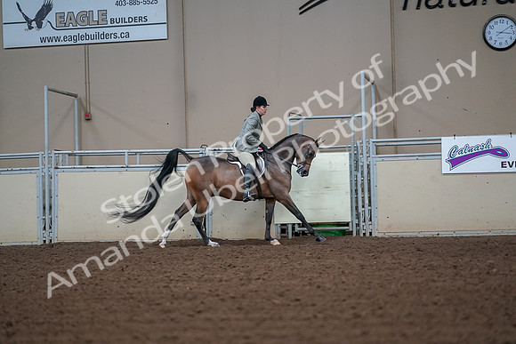 2019 Morgan Horse Show - Aug 30, 2019 - 17610