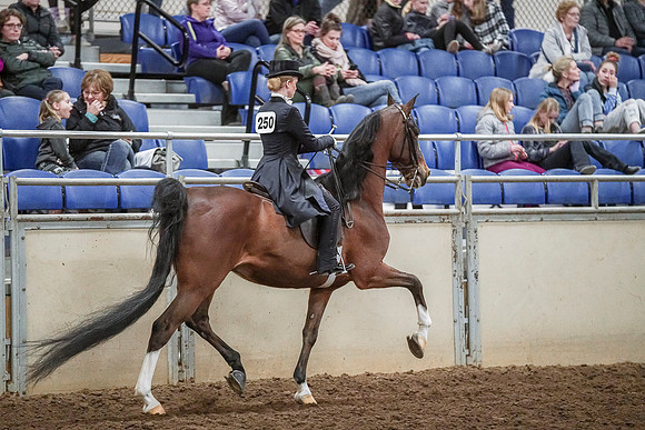 Spring Fling - Saturday - April 20, 2019  -  04405