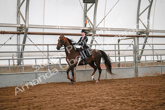 July 19, 2019 - 8766