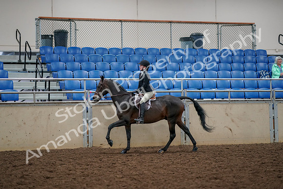 2019 Morgan Horse Show - Aug 30, 2019 - 23445