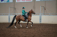 2019 Morgan Horse Show - Aug 30, 2019 - 30644