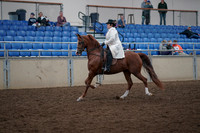 2019 Morgan Horse Show - Aug 31, 2019 - 17849