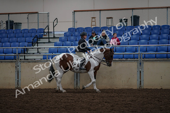 2019 Morgan Horse Show - Aug 30, 2019 - 31407