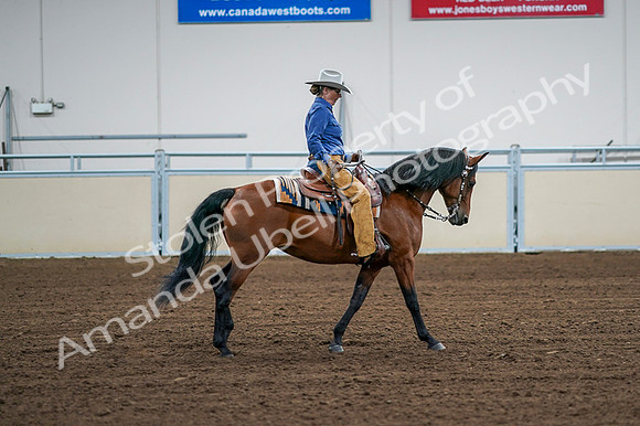 2020 - AB Morgan Horse - Fri, Sept 04 - 00119