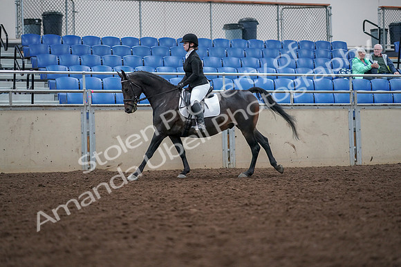 2019 Morgan Horse Show - Aug 30, 2019 - 18435