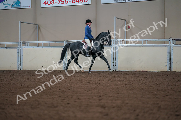 2019 Morgan Horse Show - Aug 30, 2019 - 18554