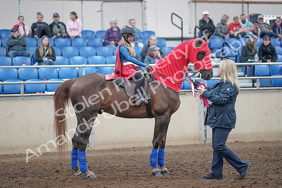 2019 Morgan Horse Show - Aug 31, 2019 - 10180