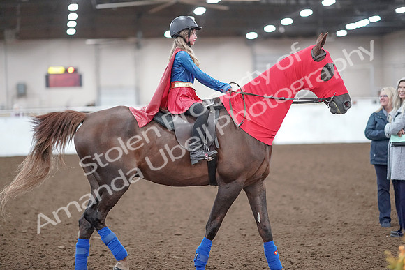 2019 Morgan Horse Show - Aug 31, 2019 - 10010