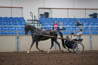 2019 Morgan Horse Show - Aug 31, 2019 - 10265