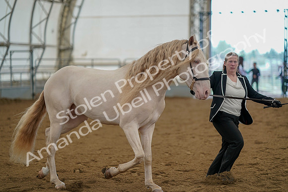 July 19, 2019 - 1159