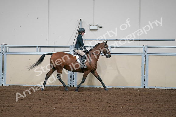 2020 - AB Morgan Horse - Fri, Sept 04 - 02137