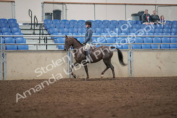 2019 Morgan Horse Show - Aug 31, 2019 - 04896