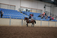 2019 Morgan Horse Show - Aug 30, 2019 - 12655