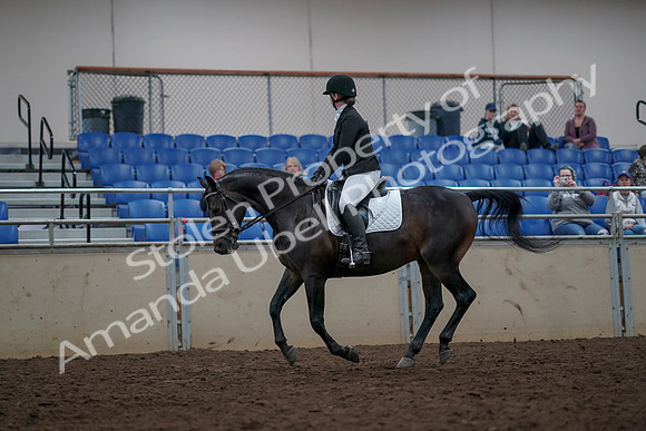 2019 Morgan Horse Show - Aug 31, 2019 - 16663