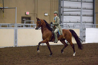 Class 179 - All Breeds English Country Pleasure, Stake