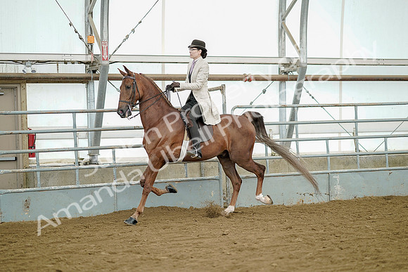 July 20, 2019 - 07850