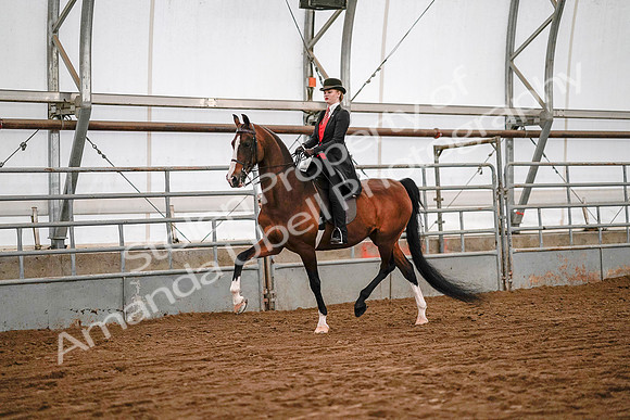 July 19, 2019 - 8715