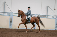 2020 - AB Morgan Horse - Sat, Sept 05 - 03034