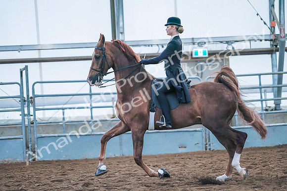 July 20, 2019 - 24010