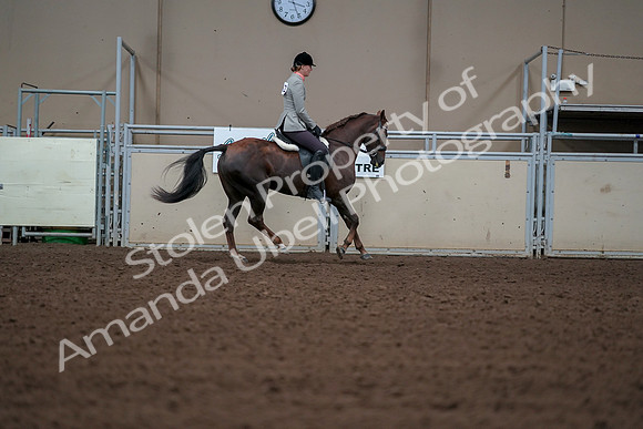 2019 Morgan Horse Show - Aug 30, 2019 - 18576