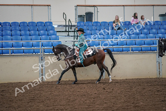 2019 Morgan Horse Show - Aug 30, 2019 - 16878